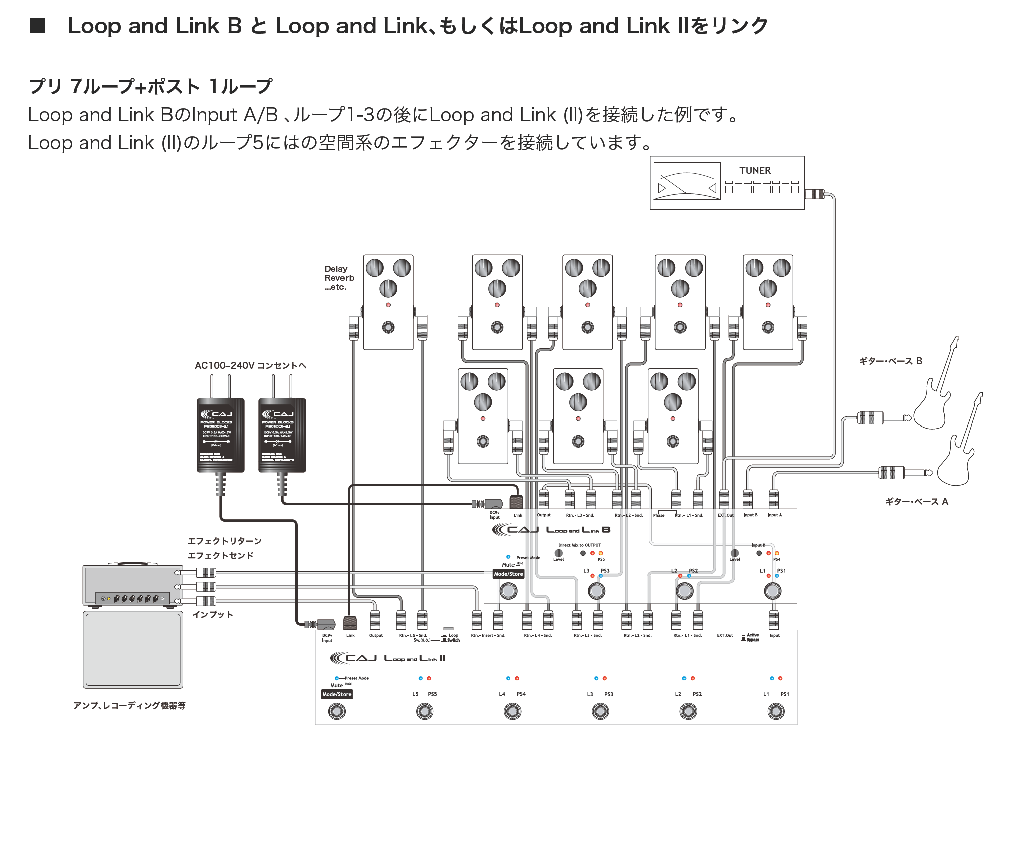 CAJ loop and link B