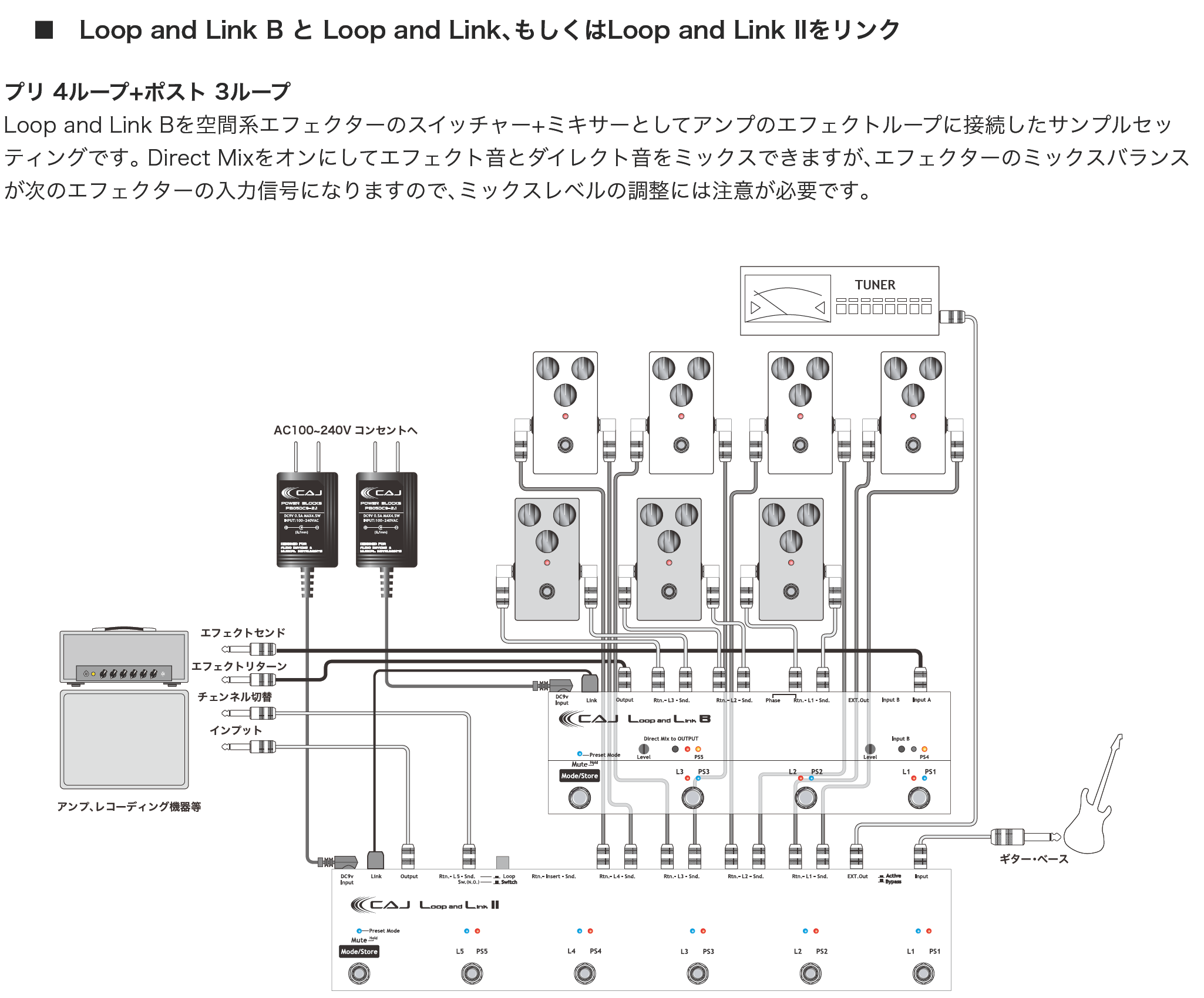 CAJ loop and link B